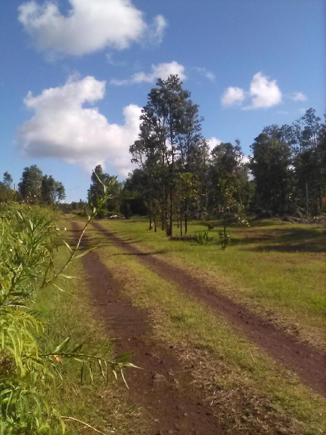 Simply Convenient Tropical Country Studio Mountain View Екстериор снимка