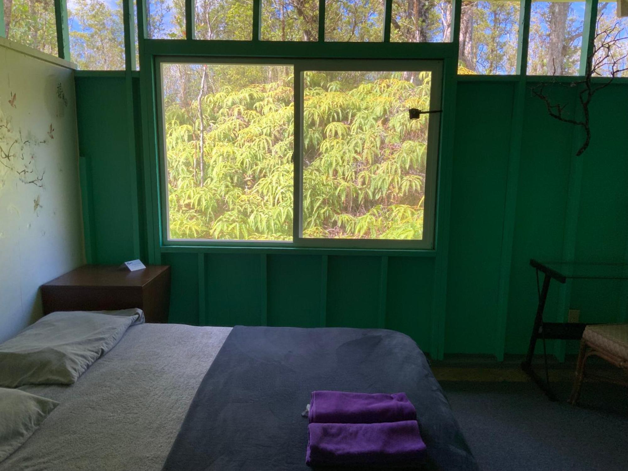 Simply Convenient Tropical Country Studio Mountain View Екстериор снимка